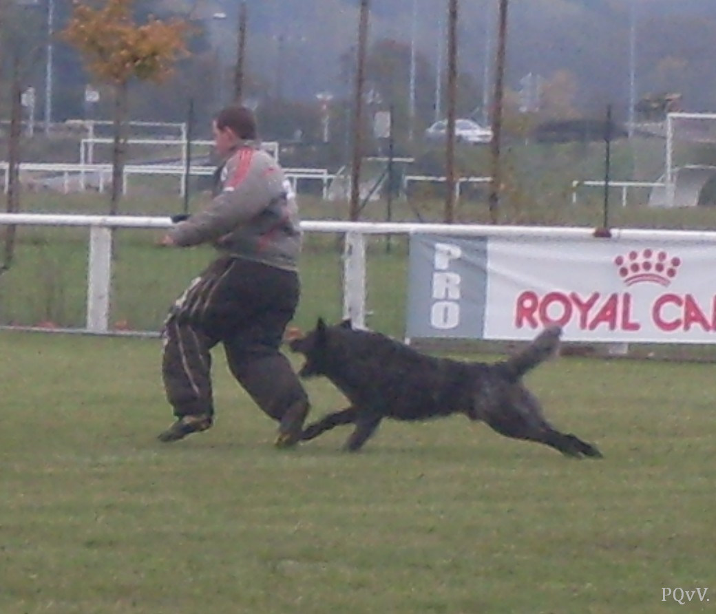  Email du Pré aux Vanneaux